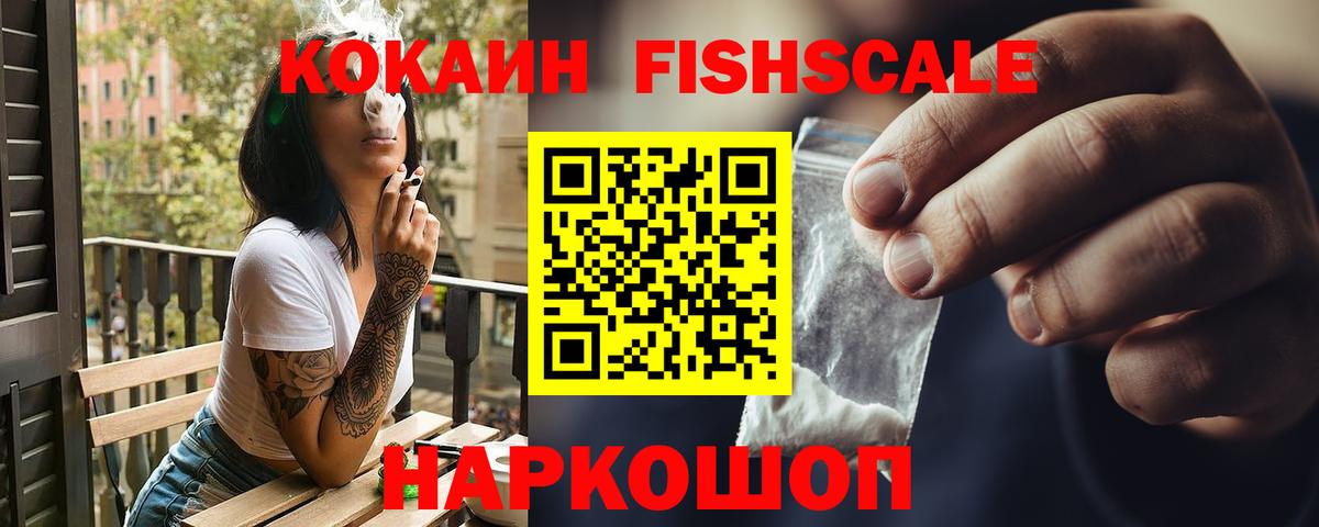 купить закладку  Чебоксары  КОКАИН  Кокаин Эквадор  КОКАИН Fish Scale 