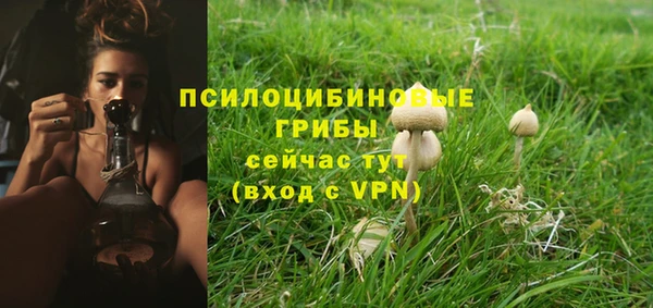 гашик Медвежьегорск