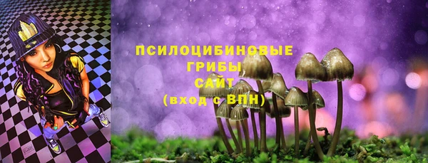 гашик Медвежьегорск
