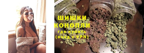 шишки Ачинск