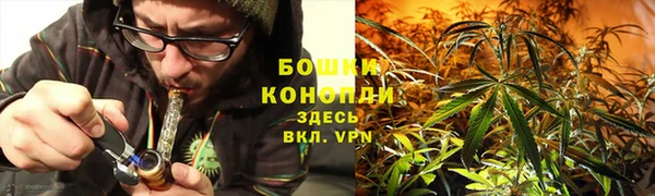 спиды Мегион