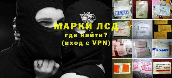 тгк Бердск