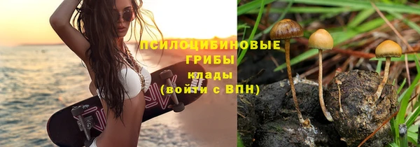 гашик Медвежьегорск